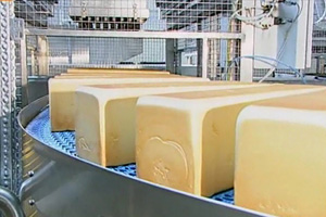 Fruity Bread Production